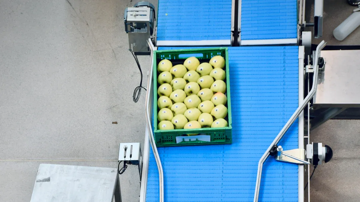 Apple Processing Machines