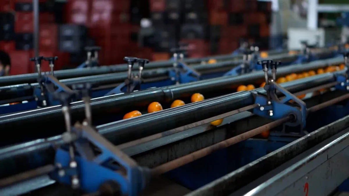 Fruit Juice Concentrate Machines