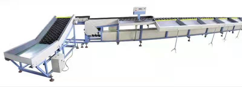 Fruit-Sorting-Machine