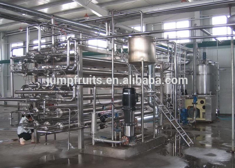 Chine Ligne de production de poudre d'oignon / Usine et fabricants de  machines de fabrication de poudre d'ail