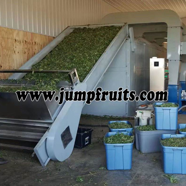 fruits and vegetables  drying machine