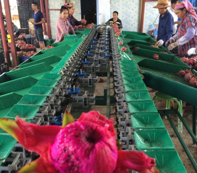 intelligent weighing system(1)