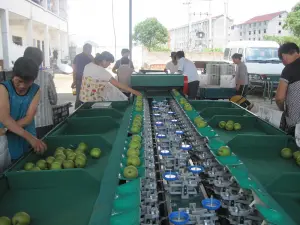 Apple Processing Machine（2）