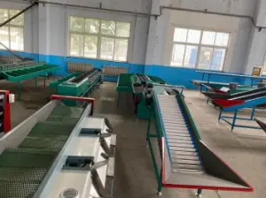 Apple Processing Machine（3）