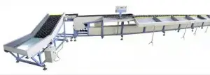 Apple Processing Machine（4）