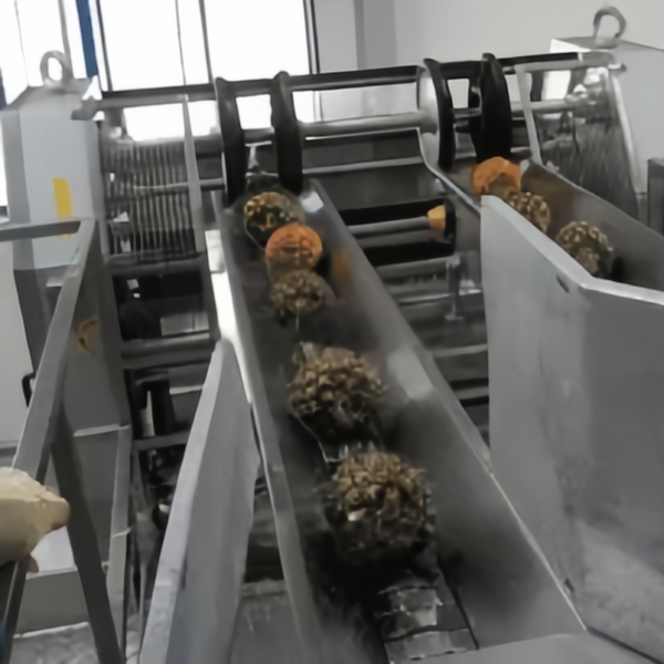 Pineapple Processing Machine（3）
