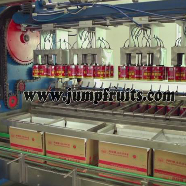 canned food automatic  packing machine