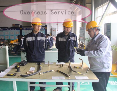 fruit & vegetables powder processing line（1）