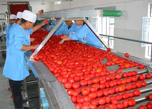 fruit & vegetables powder processing line（2）