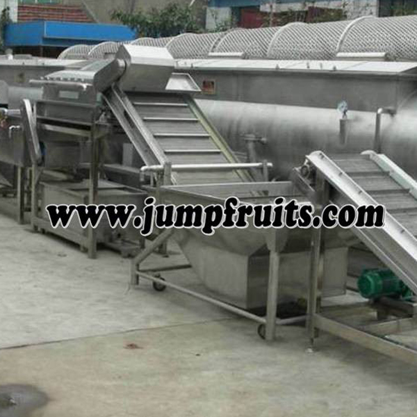 fruits washing amchine